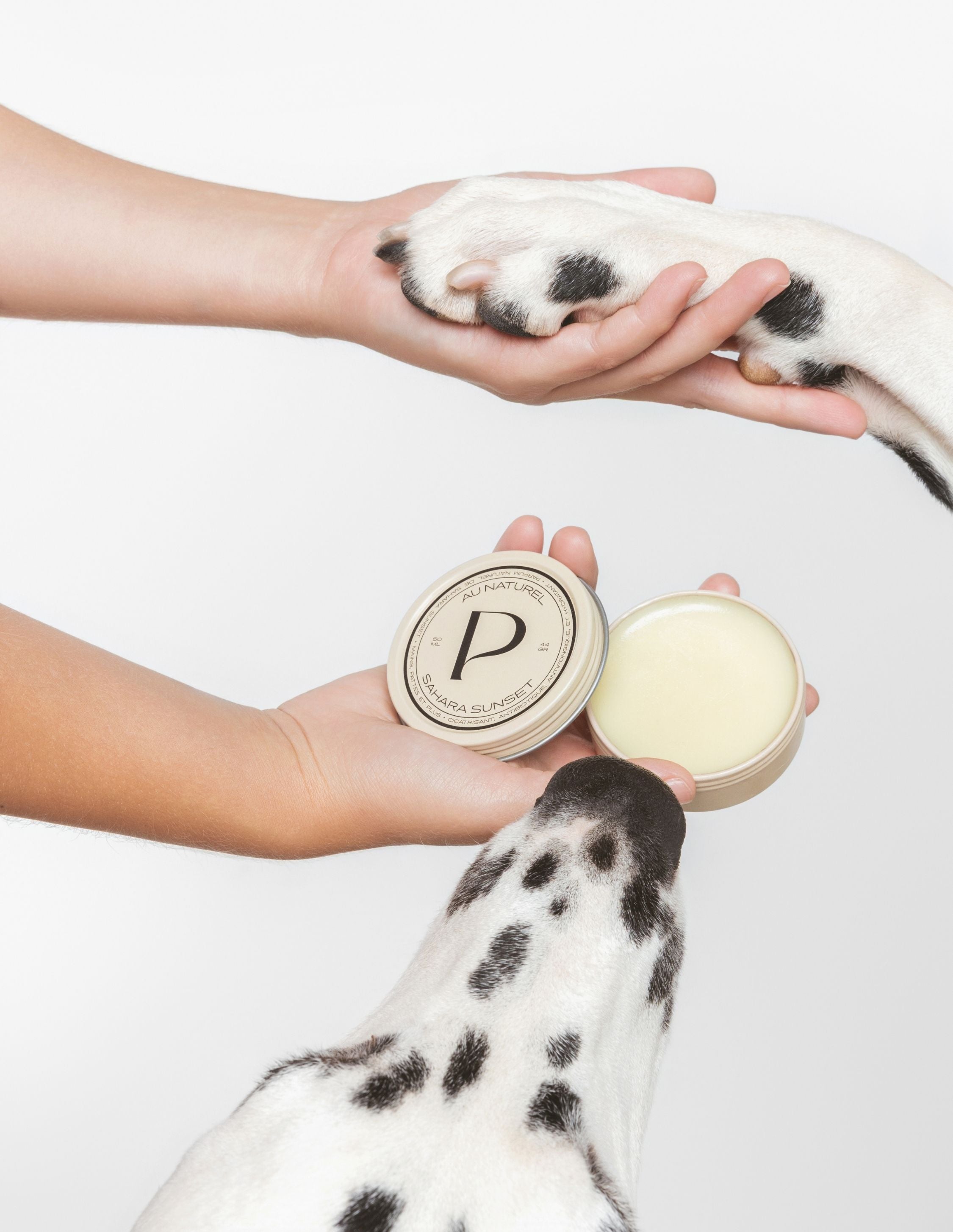 Dog paw balm for companion and owner