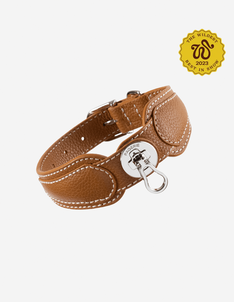 Best designer dog collars best sale