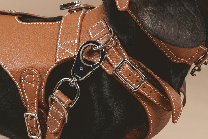 Pagerie The Colombo Leather Dog Harness - Saddle - Size Medium