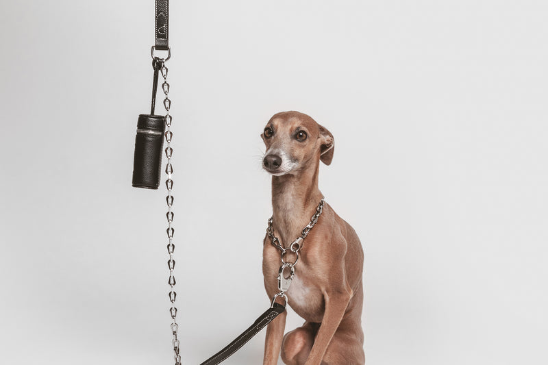 Pagerie The Tascher Leather Leash - Sand