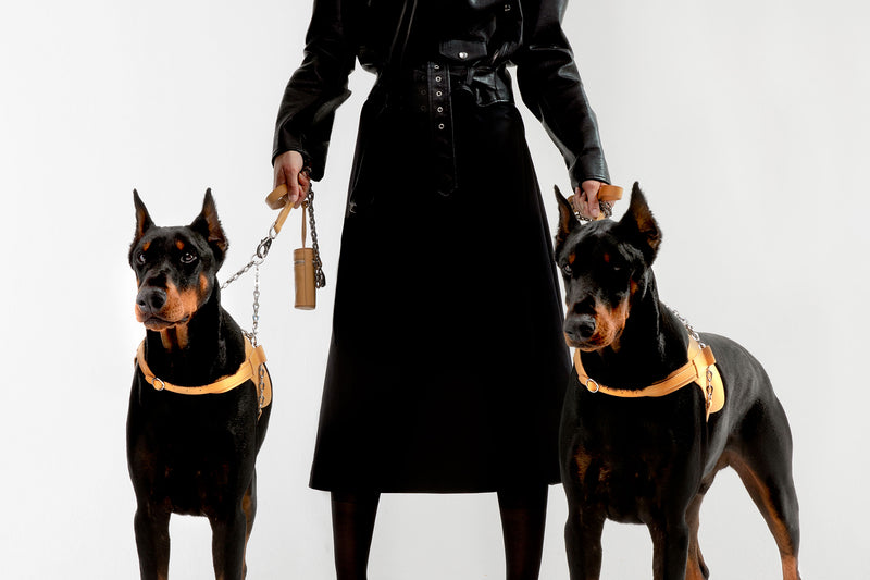 The Simone, Luxury Dog Harness