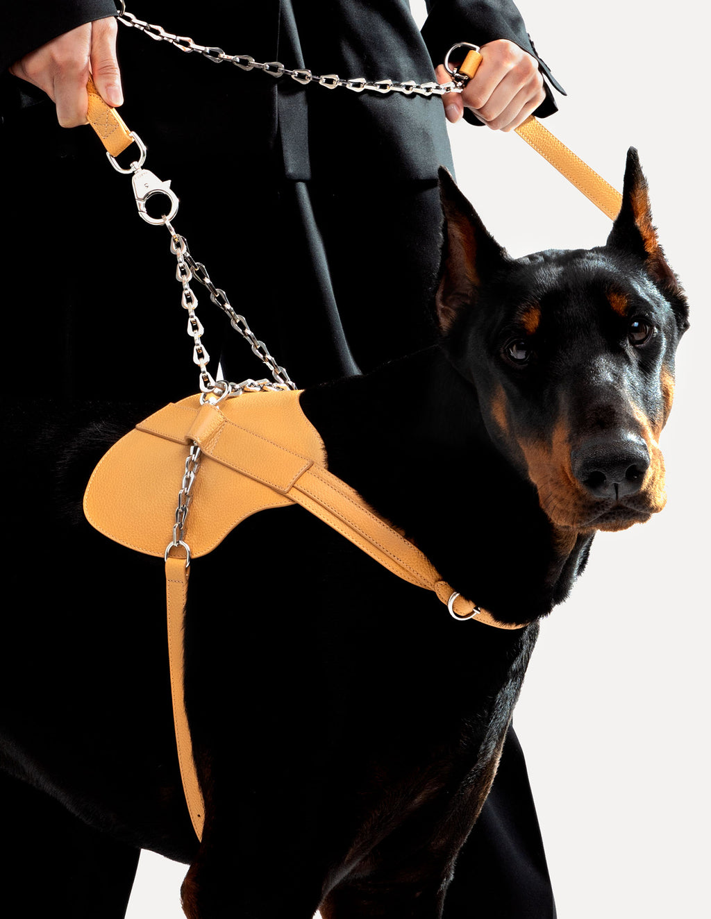 The Simone | Luxury Dog Harness | PAGERIE