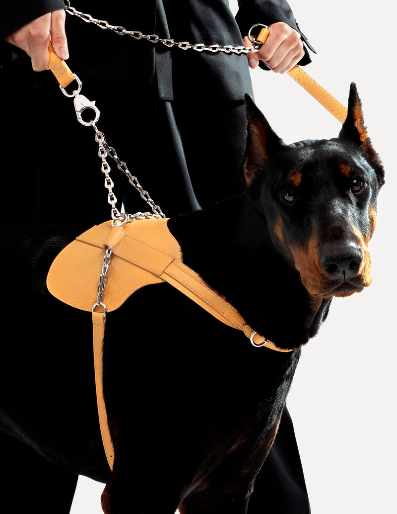 The Simone, Luxury Dog Harness