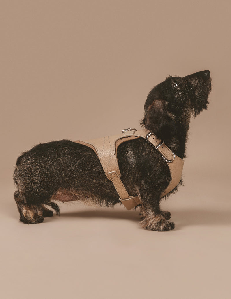 The Babbi Luxury Dog Harness PAGERIE