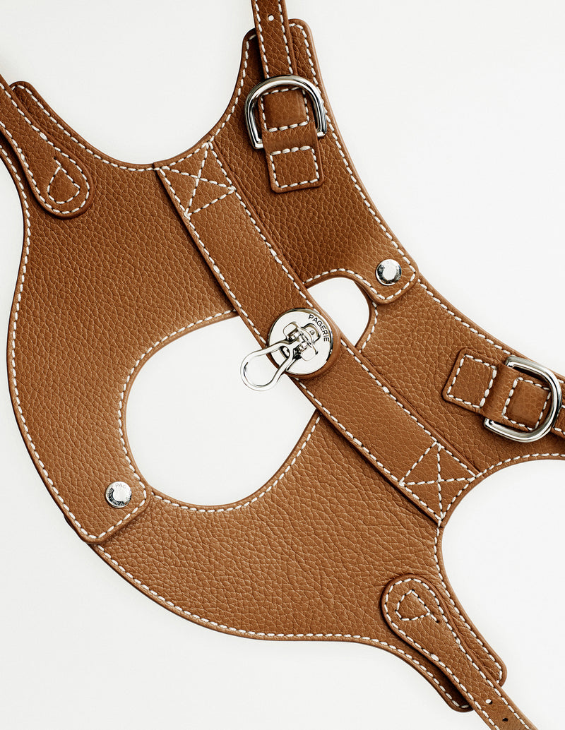 Pagerie The Colombo Leather Dog Harness - Saddle - Size Medium